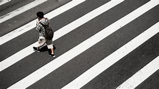 Menyebrang Zebra Cross Artinya